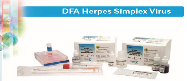 D3 DFA Herpes Simplex Virus Identification & Typing Kit  Cat. #01-090000